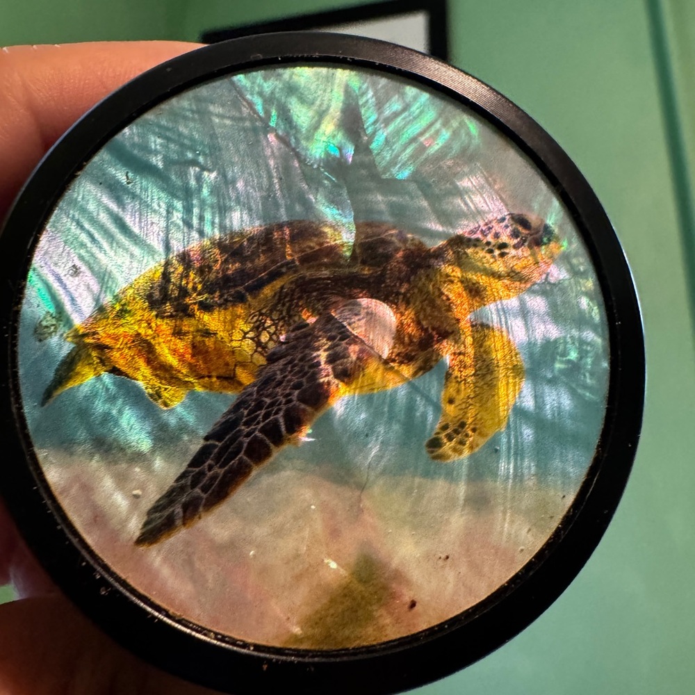 Turtle Design grinder